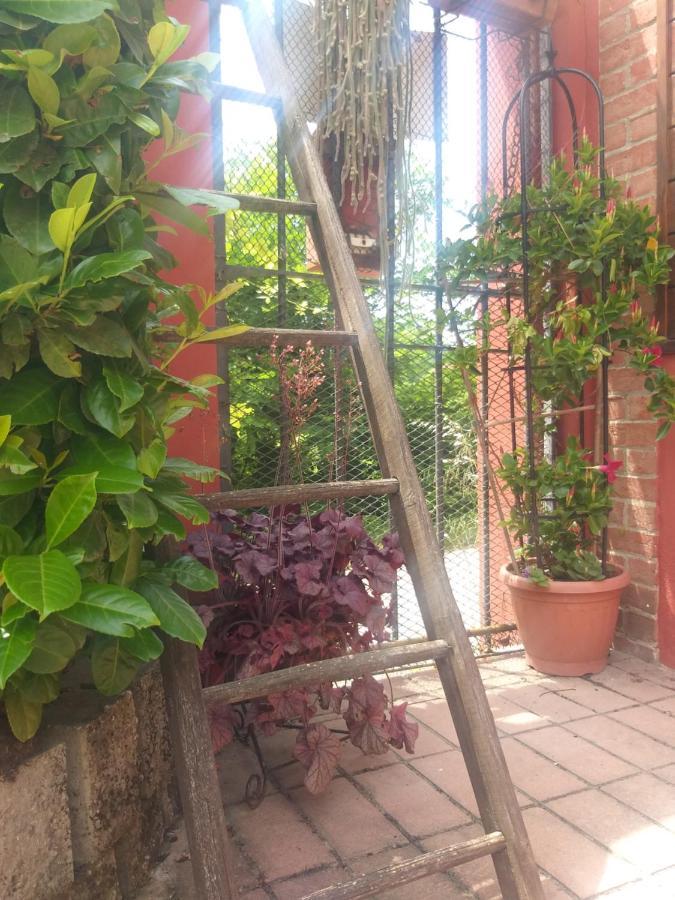 Mosci'S Bed & Beer Bed and Breakfast San Damiano dʼAsti Εξωτερικό φωτογραφία
